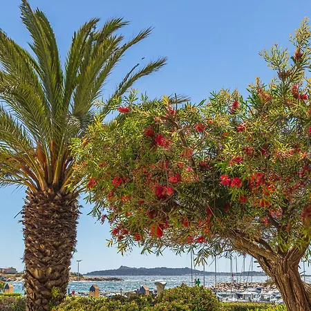 Les Rivages De Coudouliere-19 By Interhome Appartement *